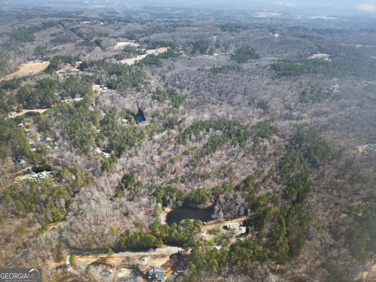 665 Tibbitts Road, Dallas, GA 30132 - #1