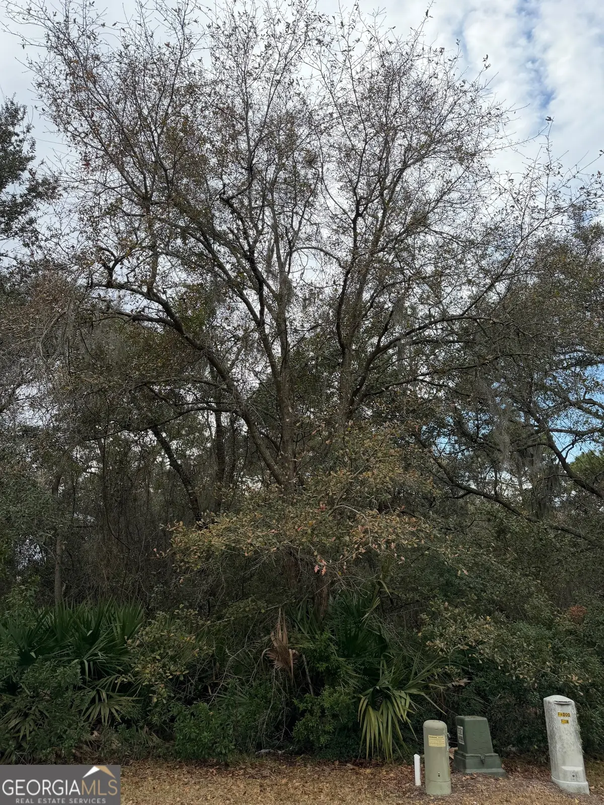 V/L 823 Stern Street, Saint Marys, GA 31558 - #1