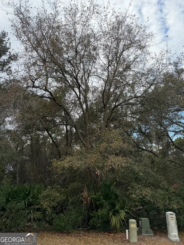 V/L 823 Stern Street, St Marys, GA 31558