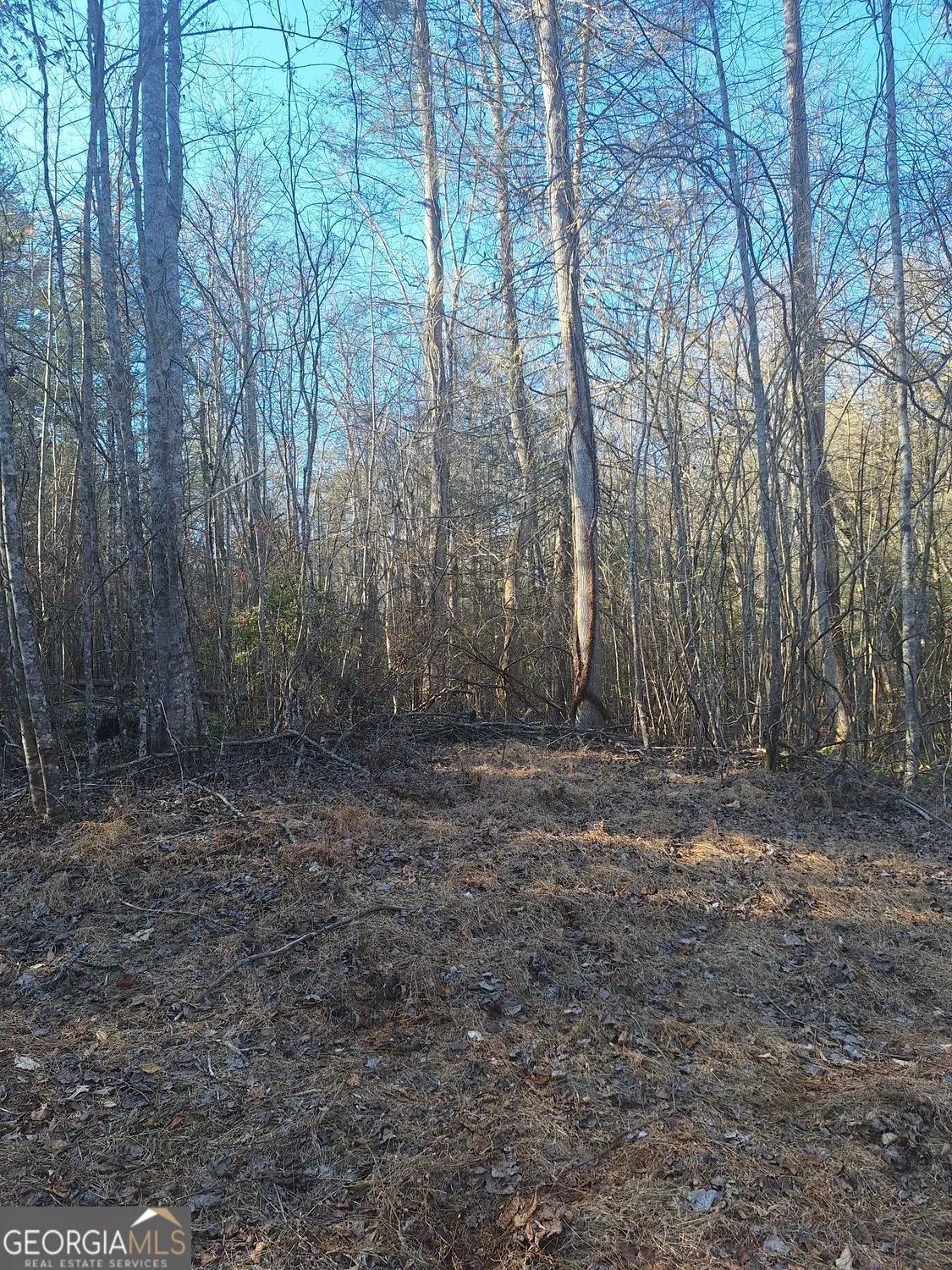 0 Bent Wood Lane, Blue Ridge, GA 30513 - #1