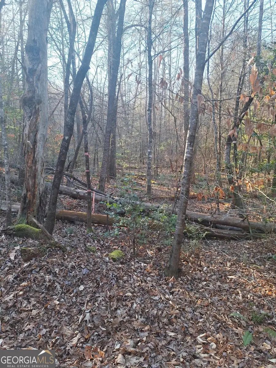 LOTS 15A 16A 17 Mill Creek Acres Lane, Blue Ridge, GA 30513 - #3