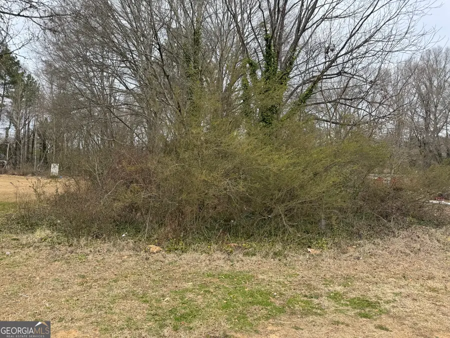 0 Davenport Street, Cedartown, GA 30125 - #2