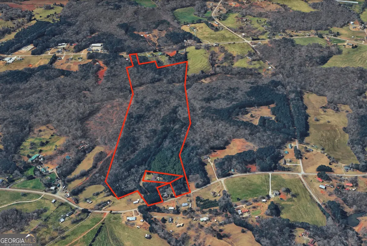 61 Highway 145, Eastanollee, GA 30538 - #1