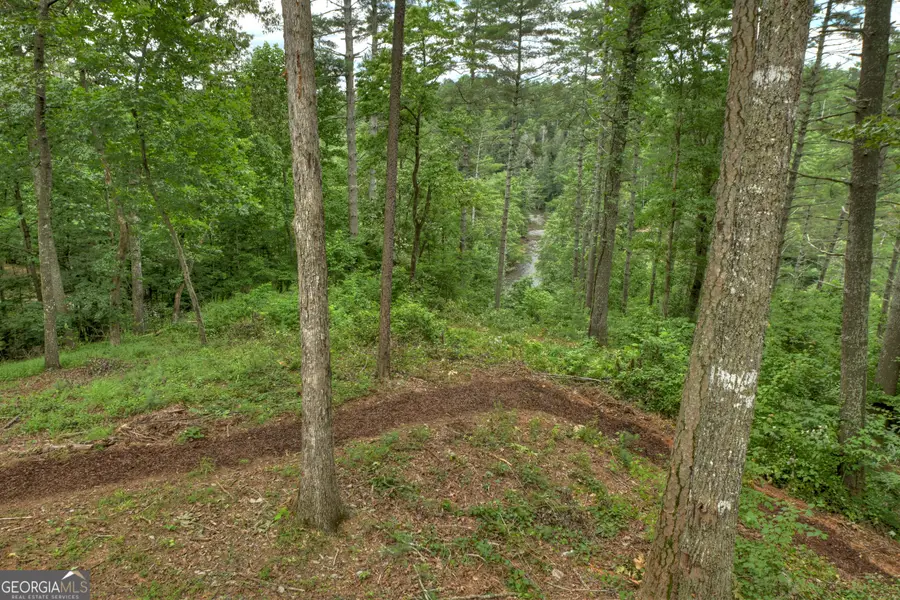 1312 Hicks Ford Road, Ellijay, GA 30540 - #3