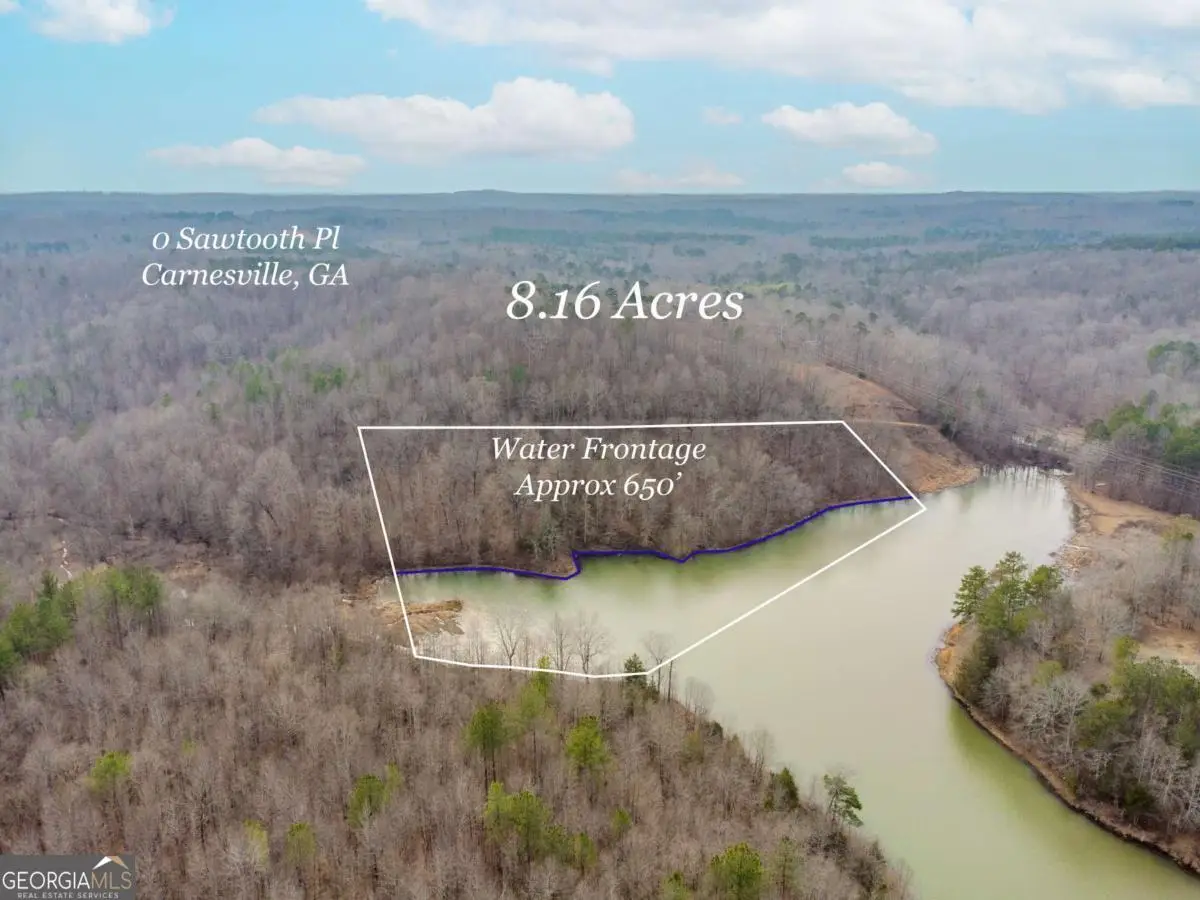 0 Sawtooth Place, Carnesville, GA 30521 - #1