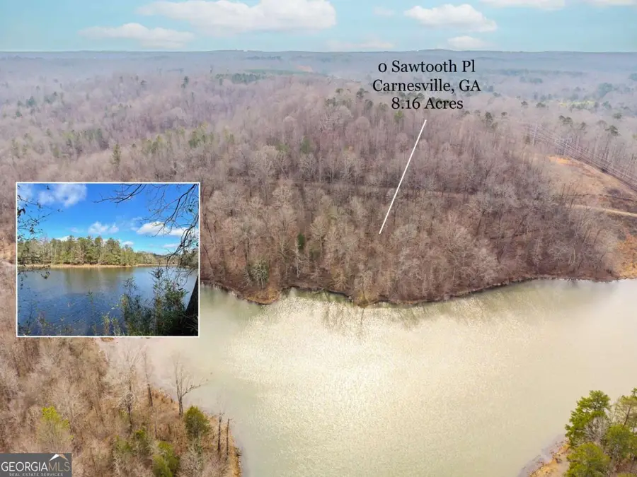 0 Sawtooth Place, Carnesville, GA 30521 - #3