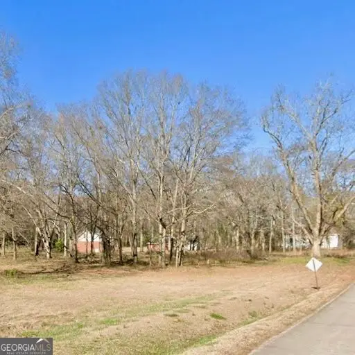 124 Roberts Rd, Locust Grove, GA 30248 - #3