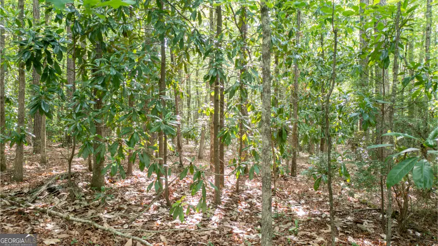 0 Roosevelt Highway, Warm Springs, GA 31830 - #2