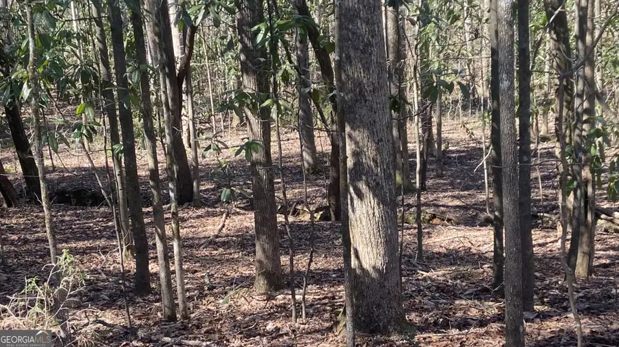 0 Roosevelt Highway, Warm Springs, GA 31830 - #3