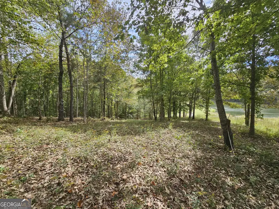 42 Lookout Point, Toccoa, GA 30577 - #3