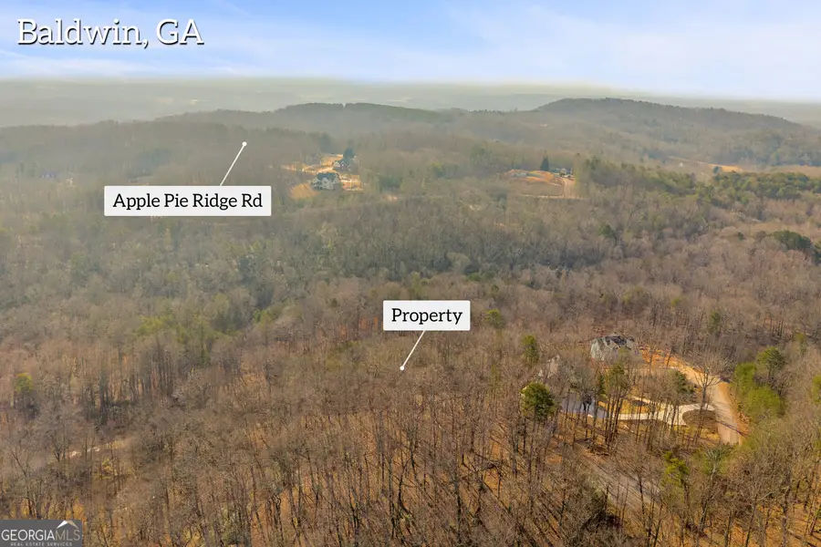 0 Planters Creek, Banks, GA 30511 - #3