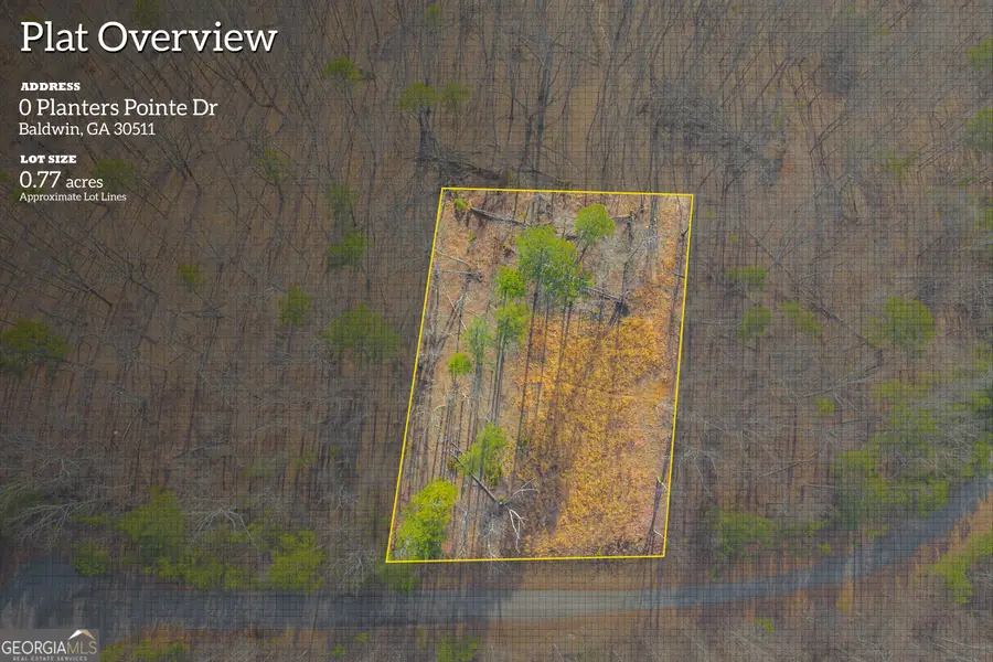 0 Planters Pointe Drive, Banks, GA 30511 - #2