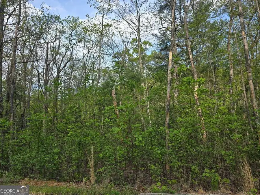 LOT 10 Kennedys Court, Blairsville, GA 30512 - #3