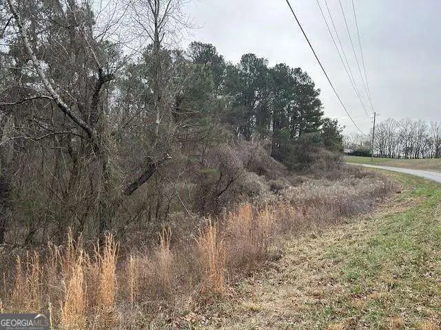 0 Jones Road, Ball Ground, GA 30107 - #2
