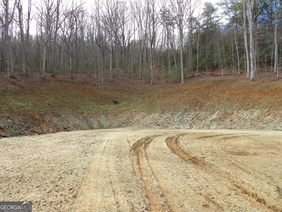 #2 Sunnyside Road (highway 288), Hiawassee, GA 30546 - #3