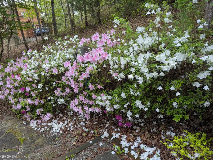 280 Northwoods Circle, Blairsville, GA 30512 - #3