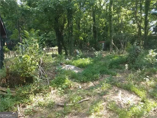 1122 SW West Avenue Sw, Atlanta, GA 30315