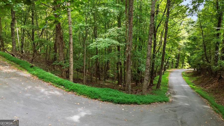 0 Sal Mountain Way, Sautee Nacoochee, GA 30571 - #2