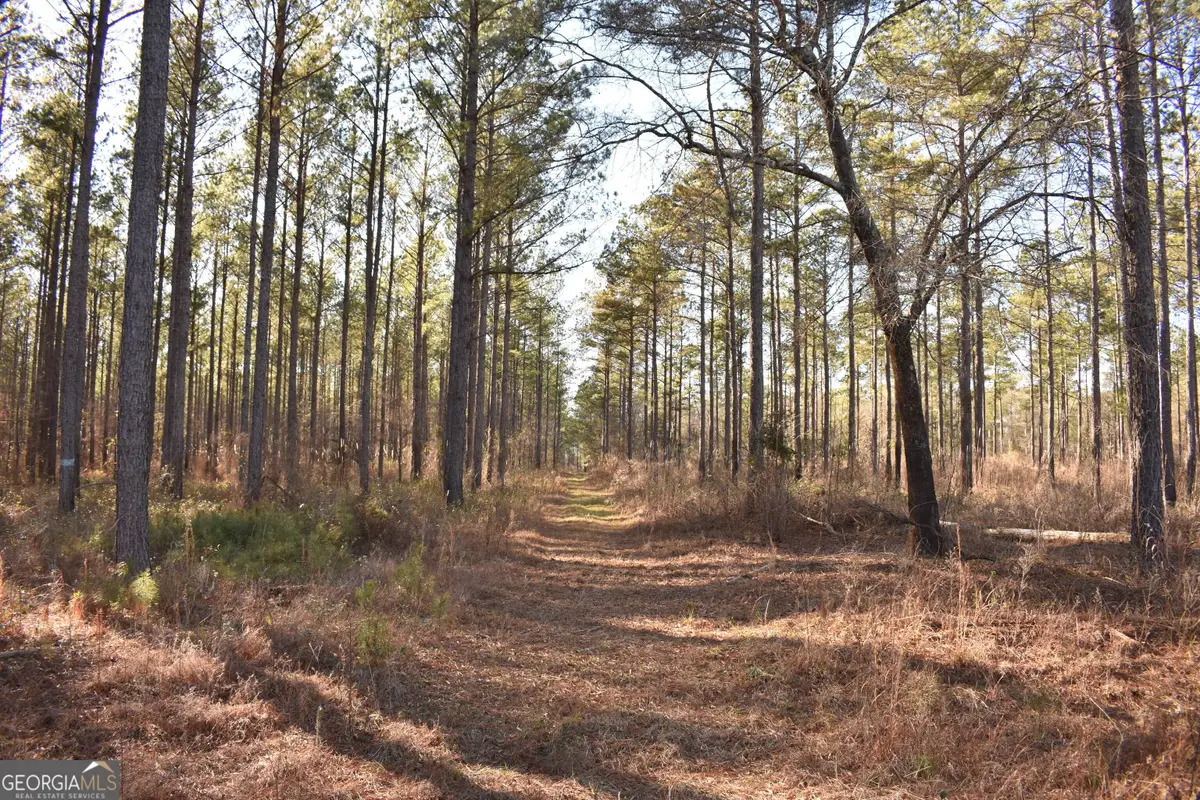 0 Bancroft Road, Blakely, GA 39823 - #1