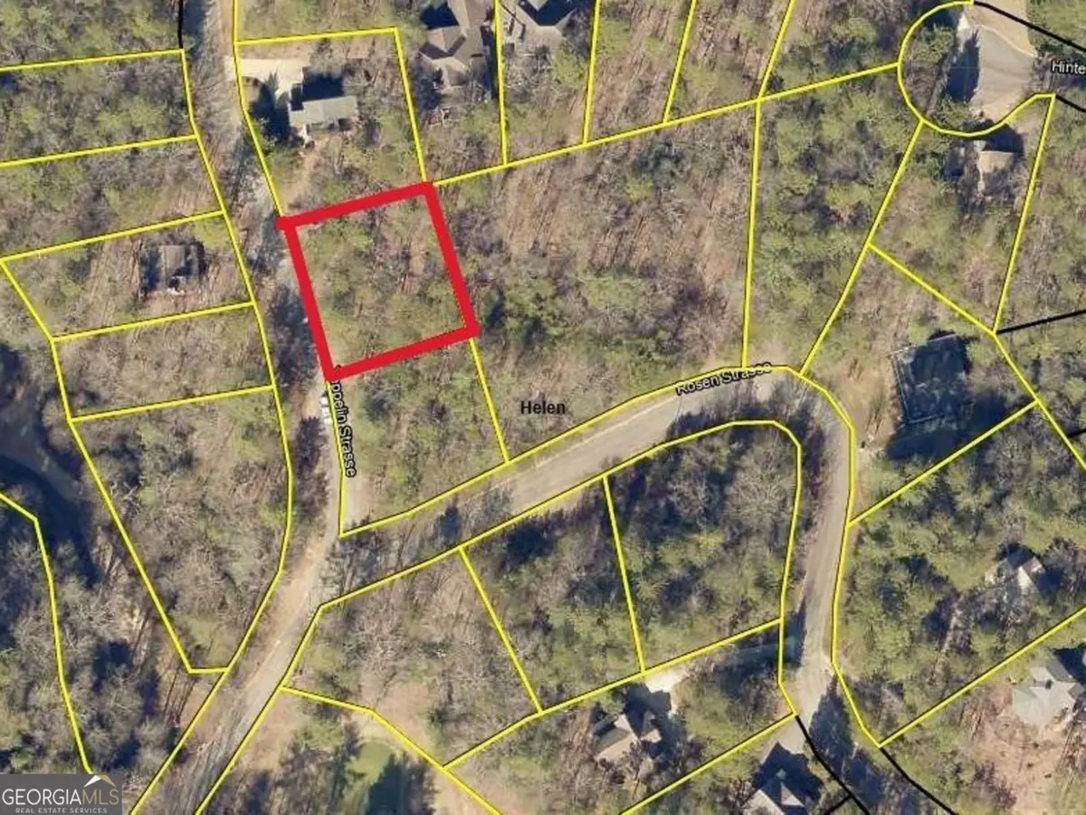 0 Zeppelin Strasse, Helen, GA 30545 - #1