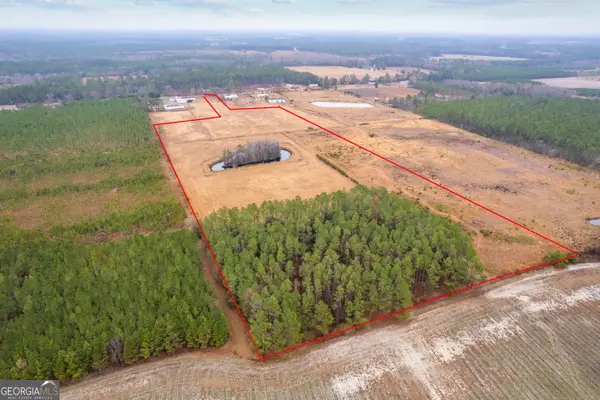 TBD Trudie Road, Blackshear, GA 31516
