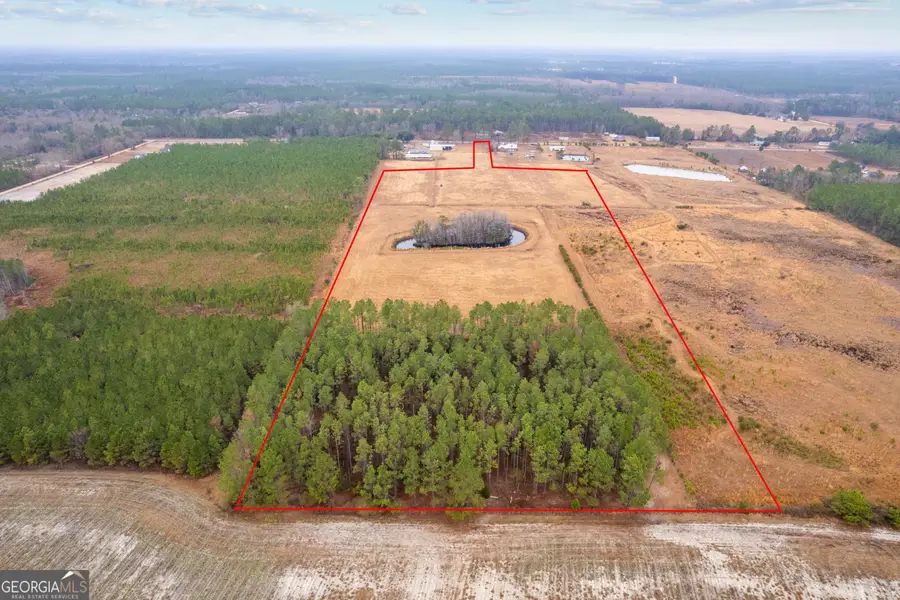 TBD Trudie Road, Blackshear, GA 31516 - #3