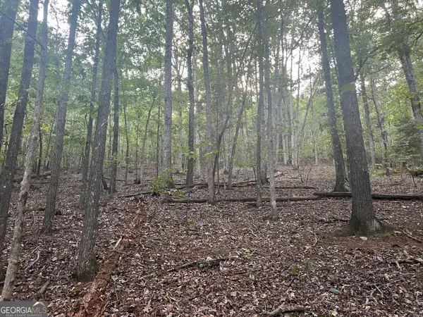 0 Rockfence Road, Adairsville, GA 30103