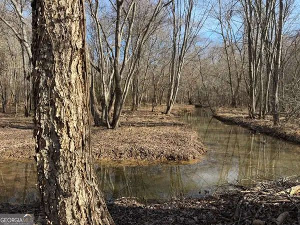 0 Neely Road, Sharpsburg, GA 30277