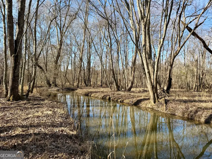 0 Neely Road, Sharpsburg, GA 30277 - #2