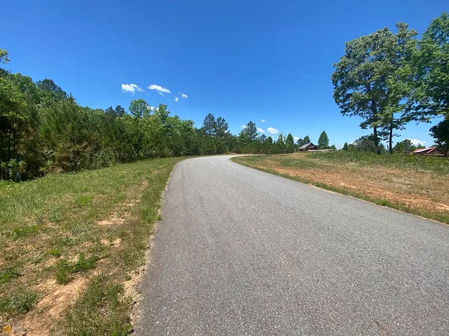 LT 55 Village Loop, Blairsville, GA 30512 - #2