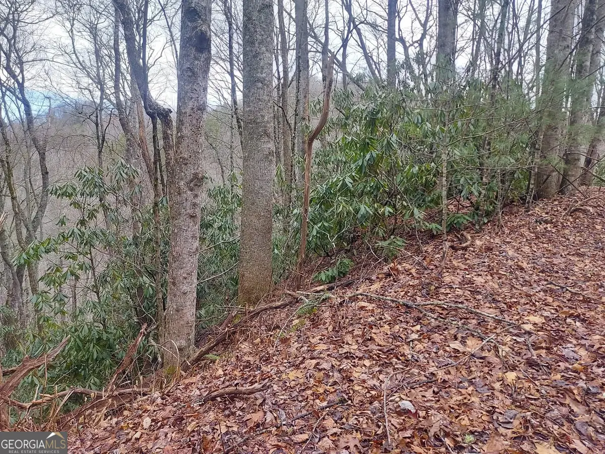 0 Labelle Circle Lot 229 & 230, Sky Valley, GA 30537 - #1