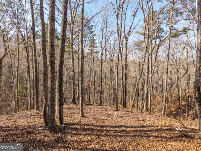 1884 Finale Street, Talking Rock, GA 30175 - #1