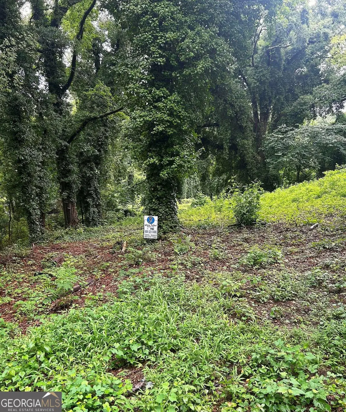 0 Webb Avenue Nw, Atlanta, GA 30314 - #1