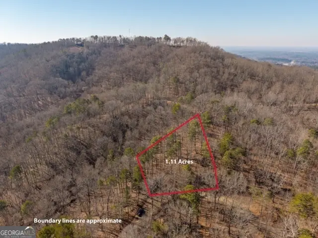 1110 Mayfield Lane, Ranger, GA 30734 - #2