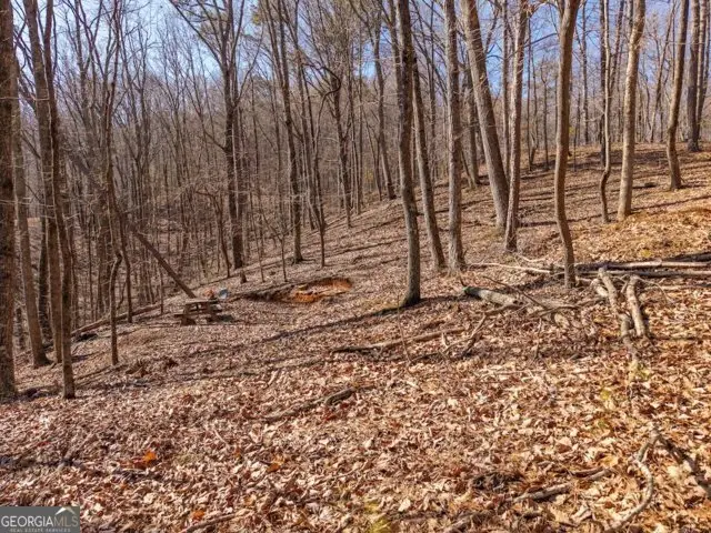 1110 Mayfield Lane, Ranger, GA 30734 - #3