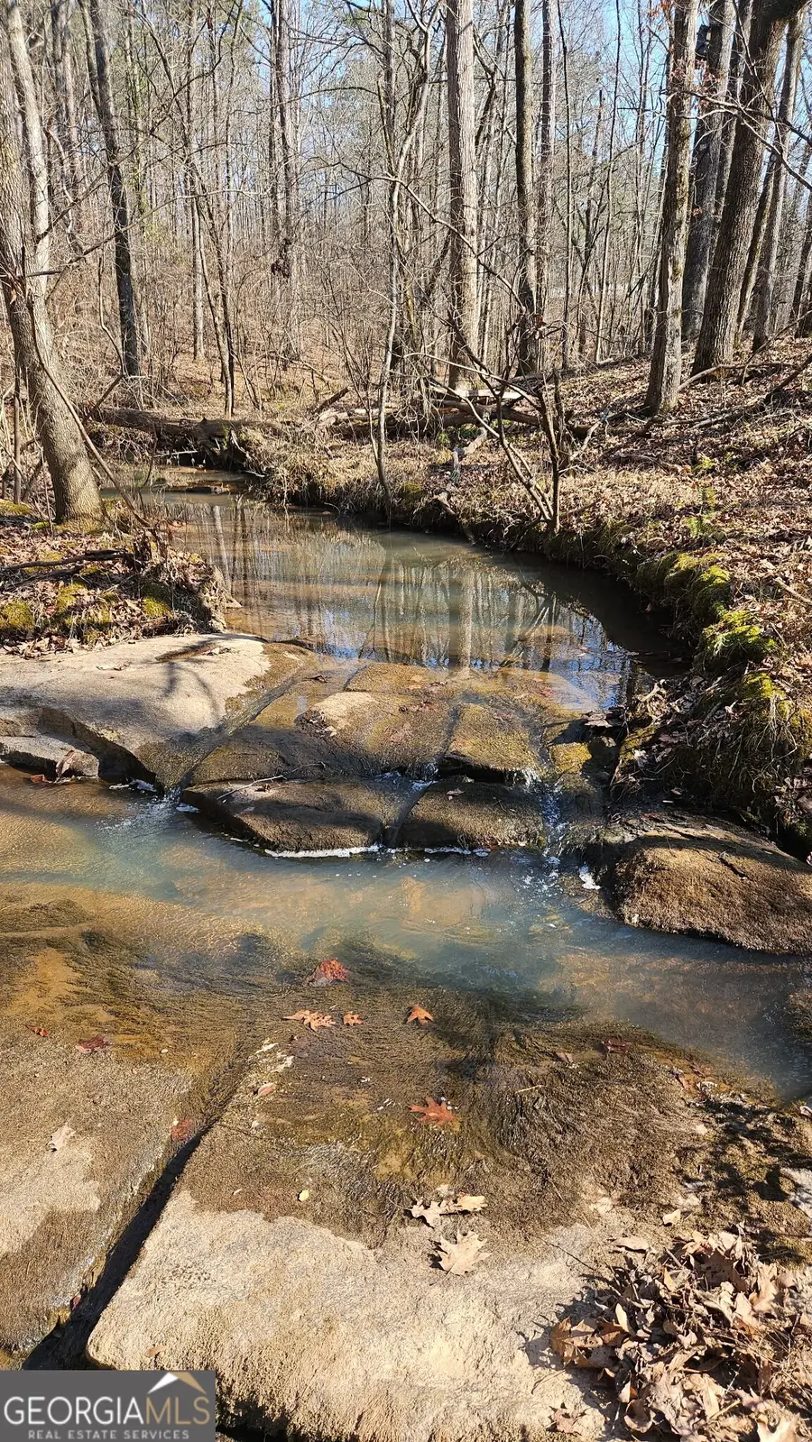 0 Old Zebulon Road, Zebulon, GA 30295 - #2