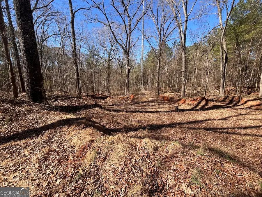 55 Key Road, Ellenwood, GA 30294 - #2