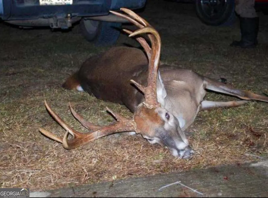 2729 Hadden Pond Road, Avera, GA 30803 - #3