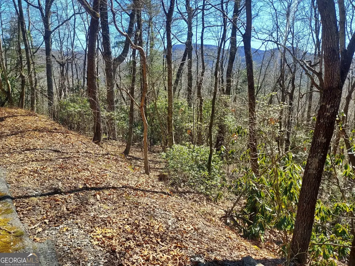 0 LOT 41 Pipetrack Gap Road, Scaly Mountain, NC 28775 - #1