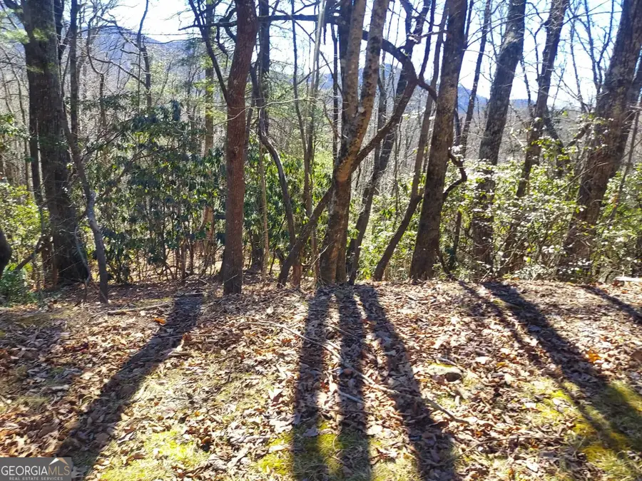 0 LOT 41 Pipetrack Gap Road, Scaly Mountain, NC 28775 - #3