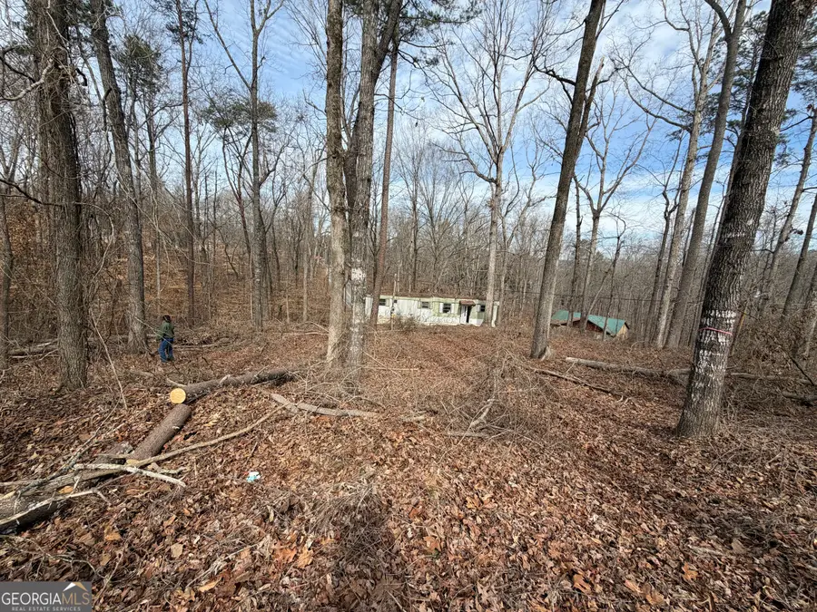 94 Mockingbird Court, Toccoa, GA 30577 - #3