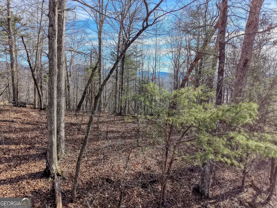 LOT 5 Harris Ridge, Young Harris, GA 30582 - #3