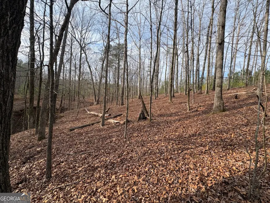 0 Highland Circle, Flovilla, GA 30216 - #3