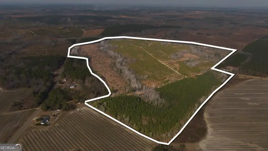 0 Scotland Road, Dublin, GA 31021 - #2