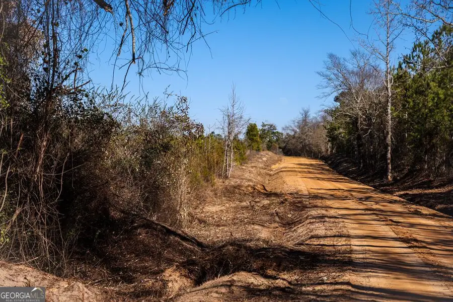 0 Scotland Road, Dublin, GA 31021 - #3