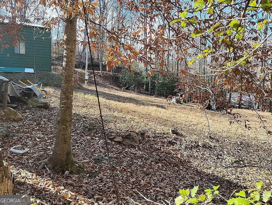 4720 Jones Gap Road, Hiawassee, GA 30546 - #2
