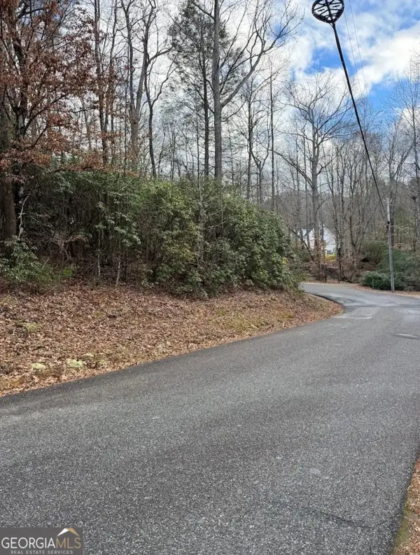 001 Fish Cove Rd., Blairsville, GA 30512