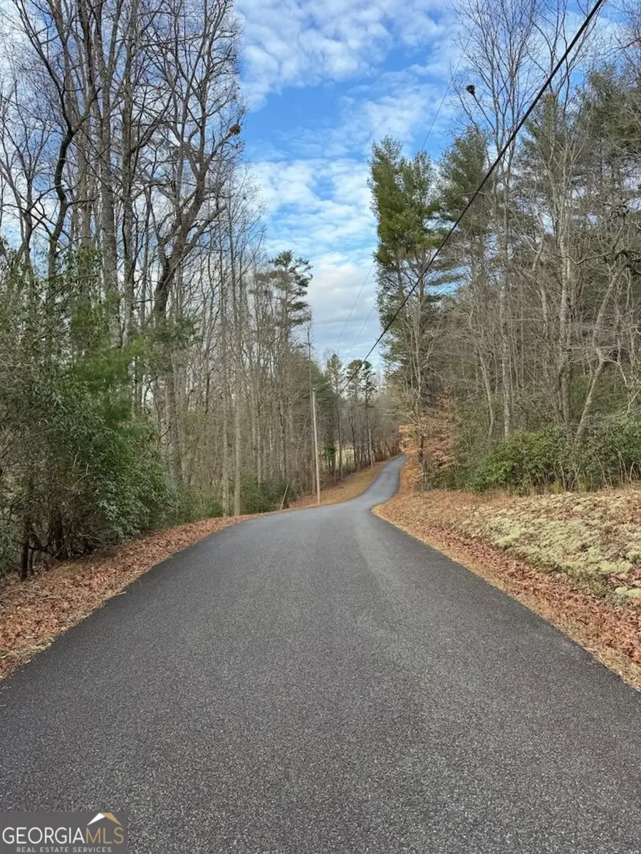 001 Fish Cove Rd., Blairsville, GA 30512 - #2