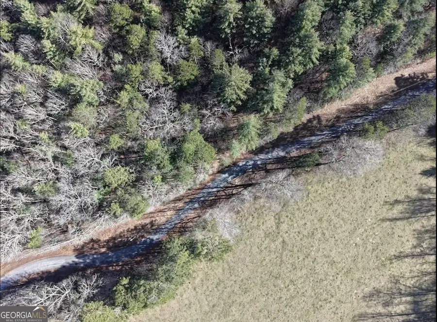 001 Fish Cove Rd., Blairsville, GA 30512 - #3