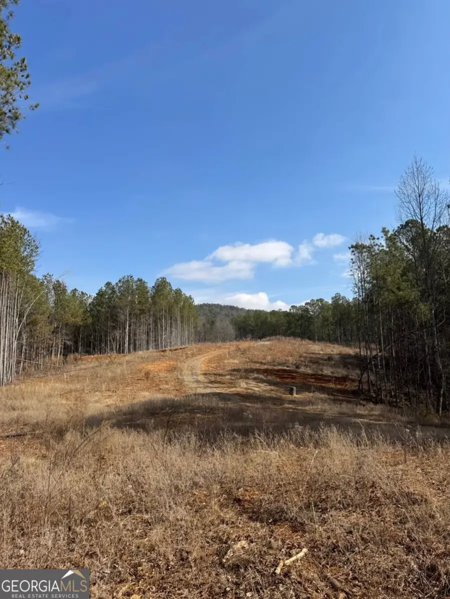 13308 W Highway 136, Talking Rock, GA 30175 - #2